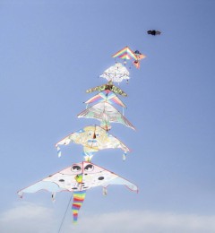 IMG_0663ok