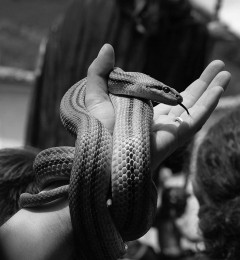 DSC_7150okbn