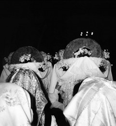Serpari-2okbn