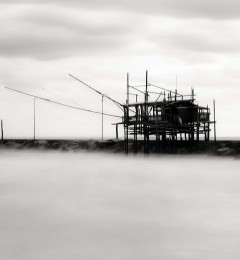IMG_5568okqbncr