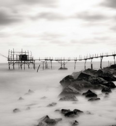 IMG_5585okqbncr