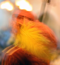 DSC_2543ok