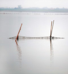 IMG_9176okqcr