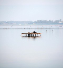 IMG_9271okqcr