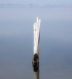 IMG_9279okqcr
