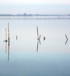 IMG_9303okqcr