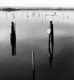 lago_lesina_4