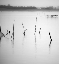 lago_lesina_7