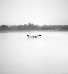 lago_lesina_8