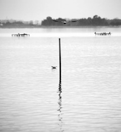 lago_lesina_9