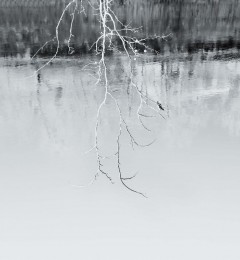 DSCF6526mi