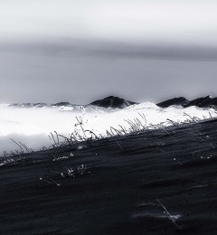 DSC_9845mi