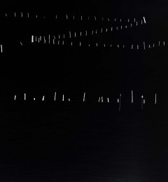 IMG_5334mi