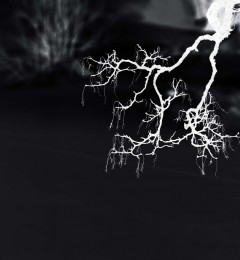 IMG_5455mi