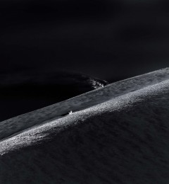 IMG_5521mi