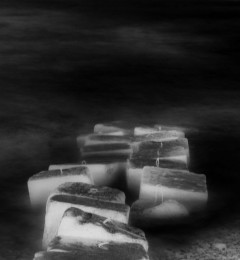 IMG_5575mi