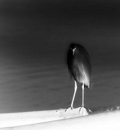 IMG_9304mi