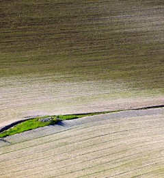 Castelluccio-2015q