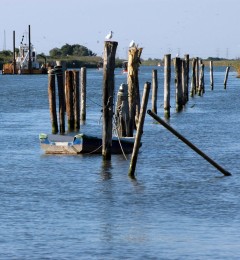 Comacchio-2006-1q
