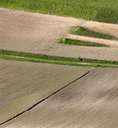 DSC_2501ok