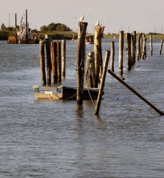 DSC_4675ok