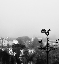 Umbertide-1