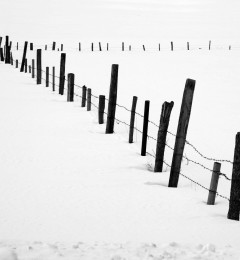IMG_5332okbnq