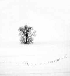 IMG_5338okbnqcr