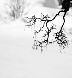 IMG_5455okqbncr