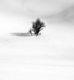 IMG_5495okqbncr1