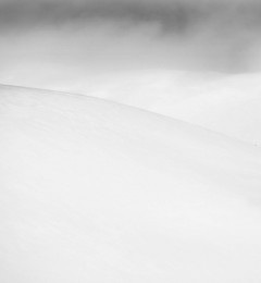 IMG_5507okqbn1