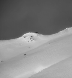 IMG_5523okbncr1