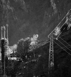 DSC8841okbn