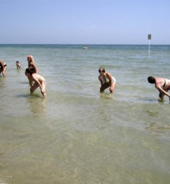 IMG_0722okq