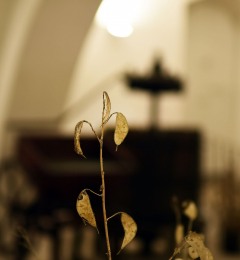 Pietrantonj-16