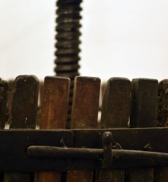 Pietrantonj-16b